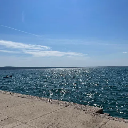 Palma *