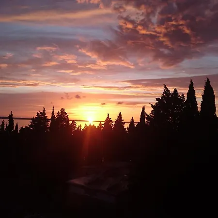 Palma Starigrad Paklenica