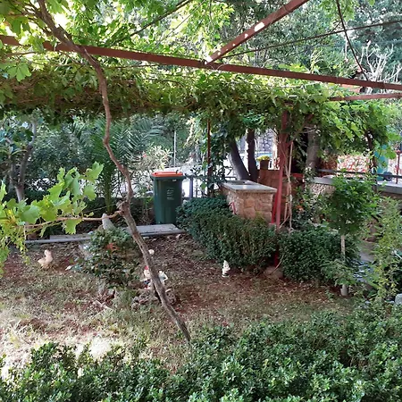 Palma Starigrad Paklenica