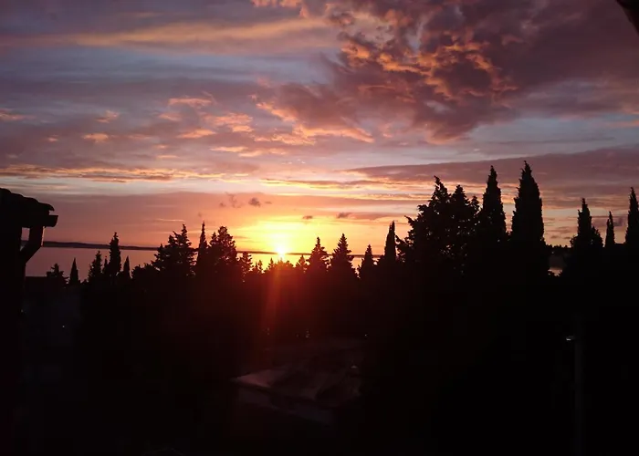 Palma Starigrad Paklenica