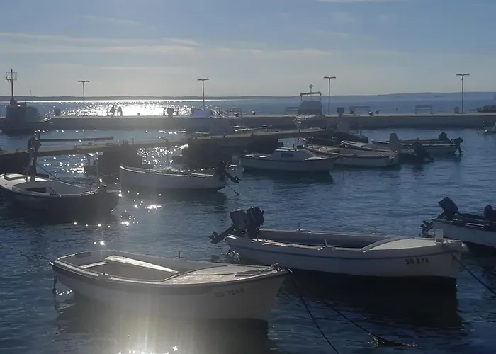 Palma * Starigrad Paklenica