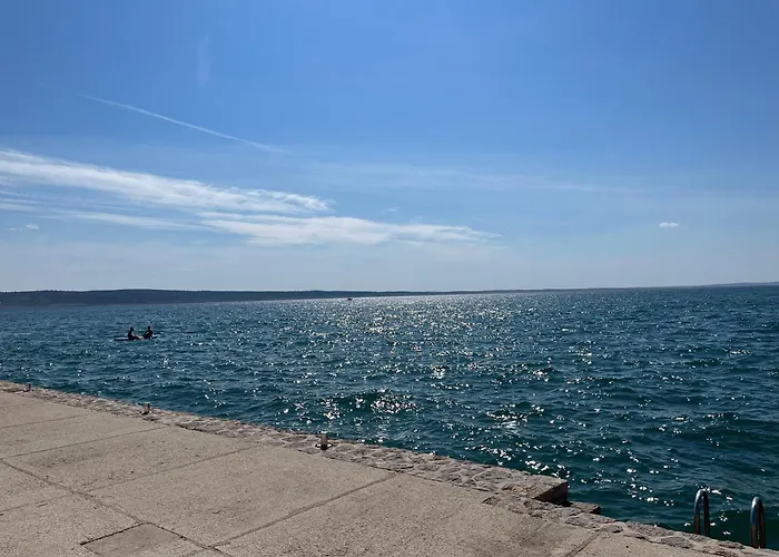 Palma *