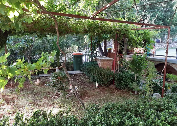 Palma Starigrad Paklenica